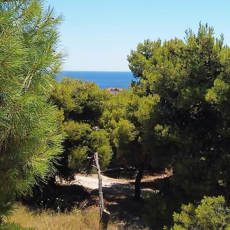 Fistiki Rooms Agia Marina  Exterior foto