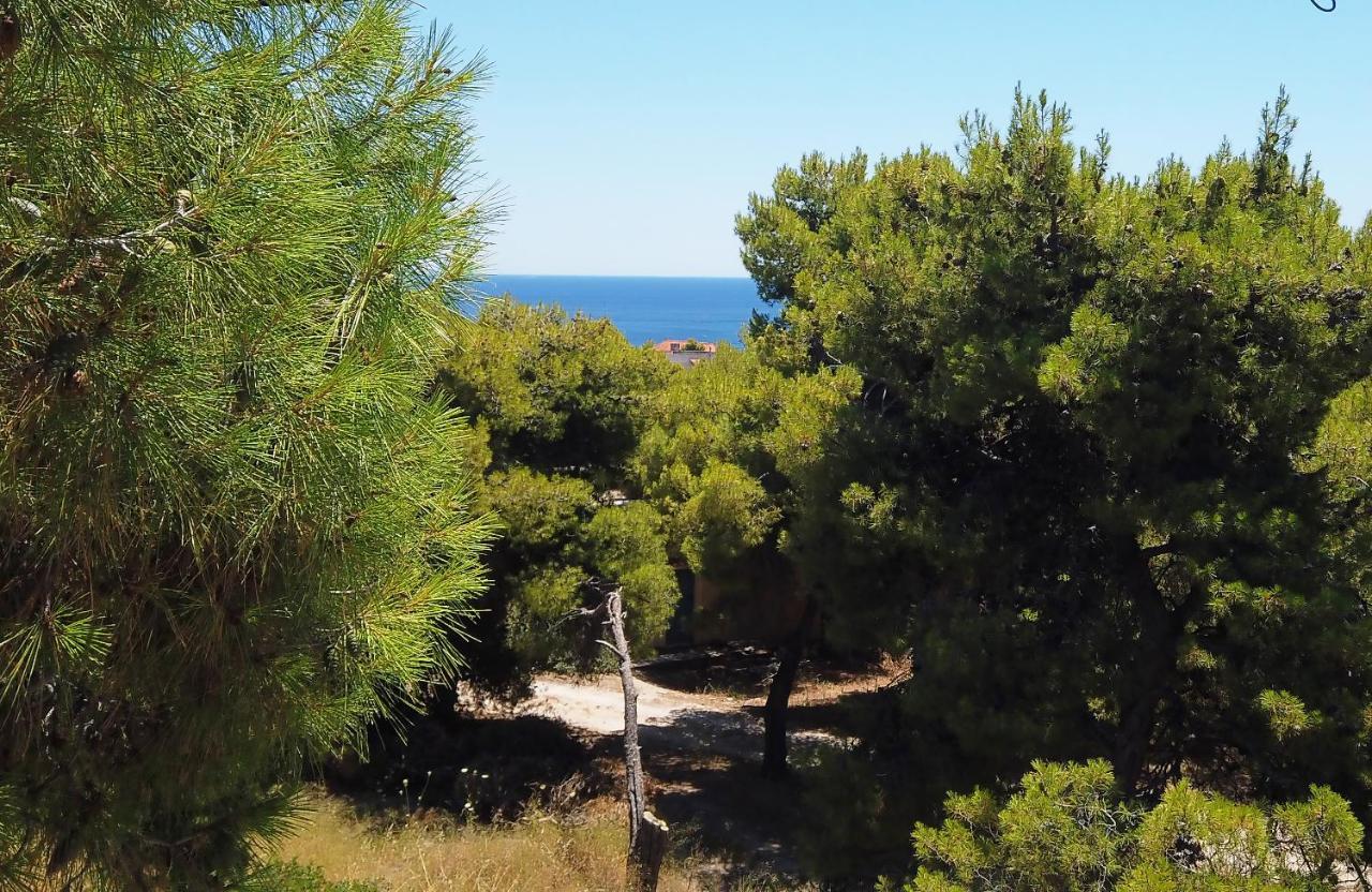 Fistiki Rooms Agia Marina  Exterior foto